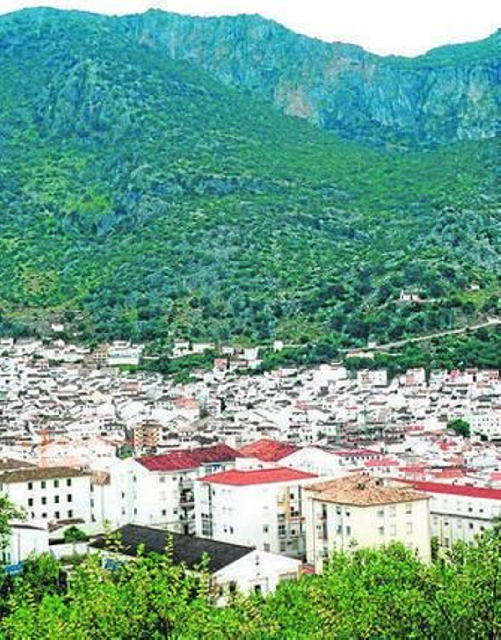 Una vista del municipio ubriqueño.