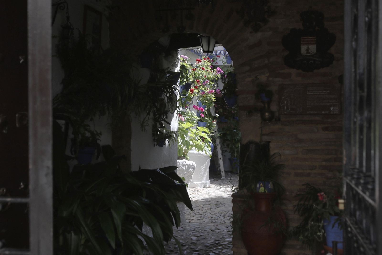 Las fotos de los Patios de Córdoba en tiempos de crisis: Postrera, 28