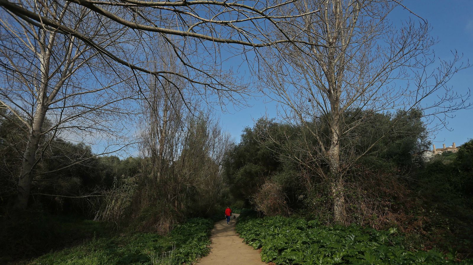 Las mejores fotos del parque fluvial del Río Pícaro
