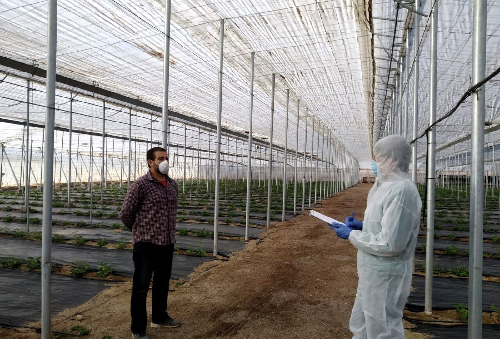 Inspección en finca llevada a cabo por Agrocolor la pasada semana en Almería.