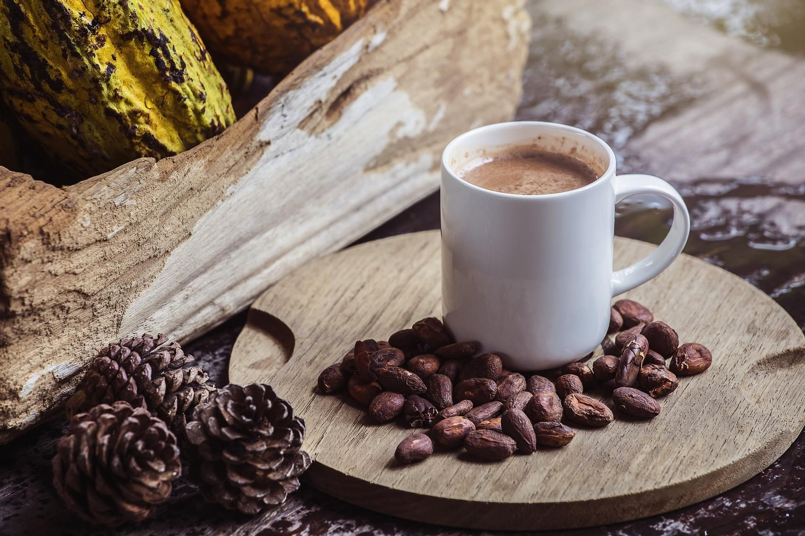 Taza de cacao puro