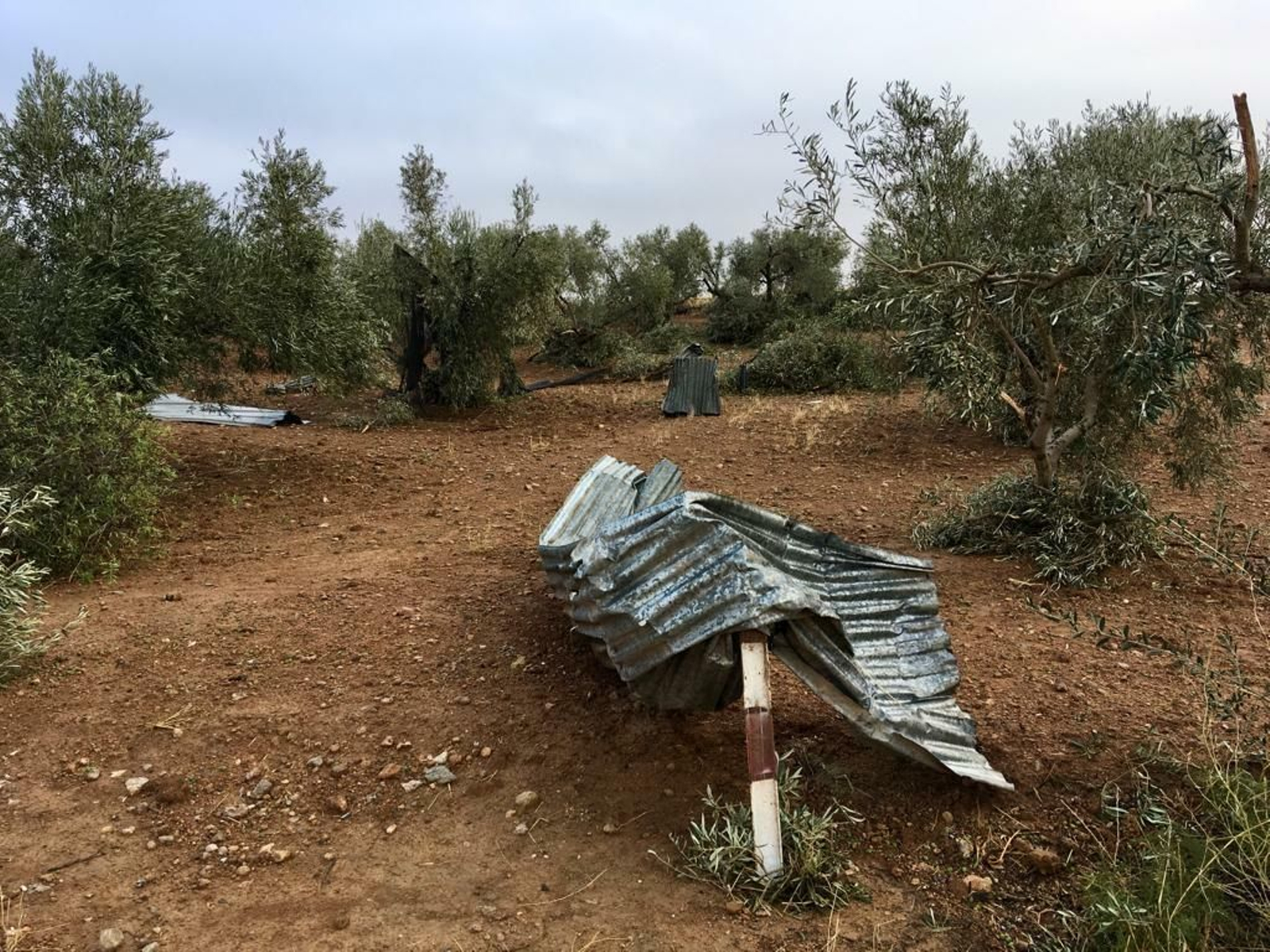 Fotos de los daños causados por los tornados en Campillos