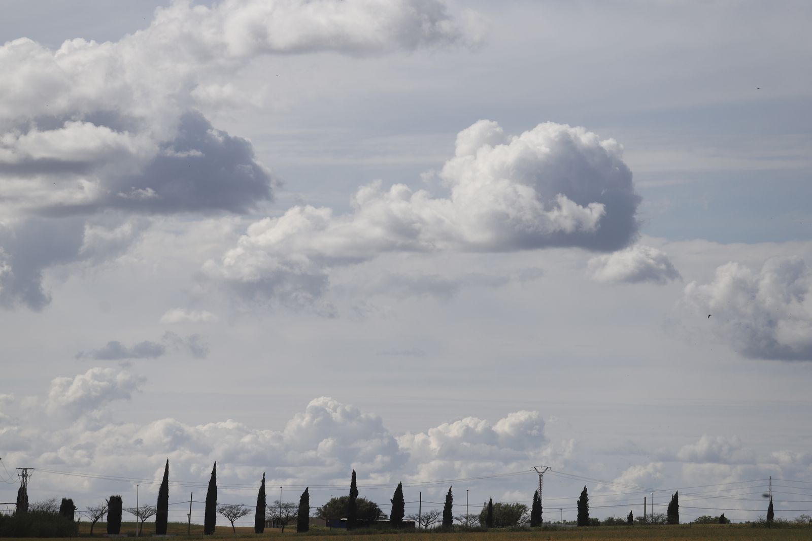 Imágenes del sábado de confinamiento