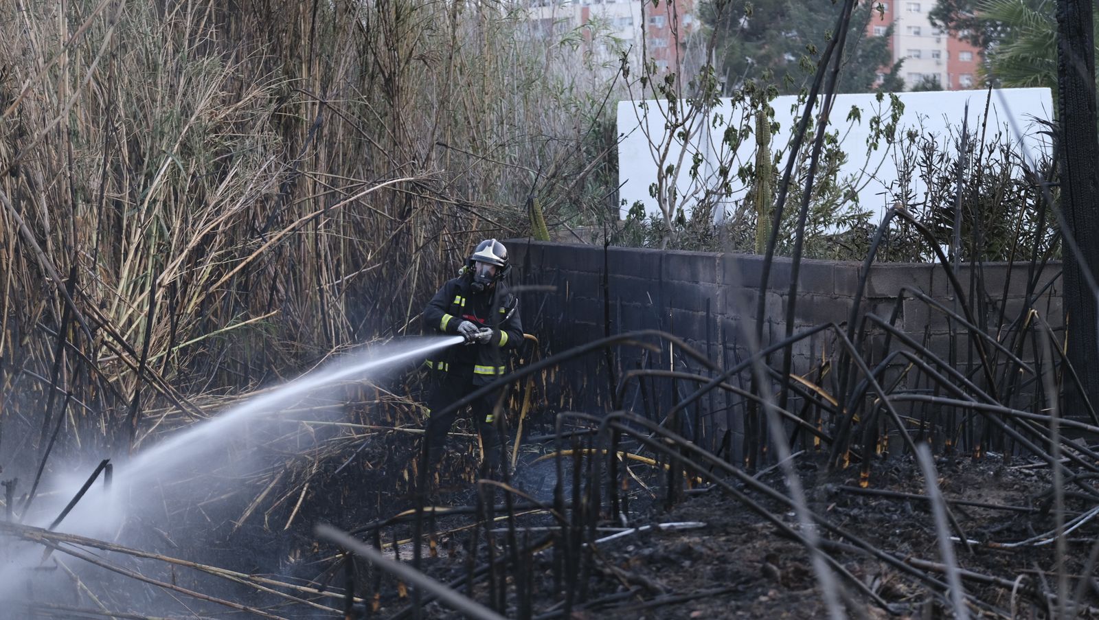 Fotogalería incendio descampado Vega de Acá. Almería