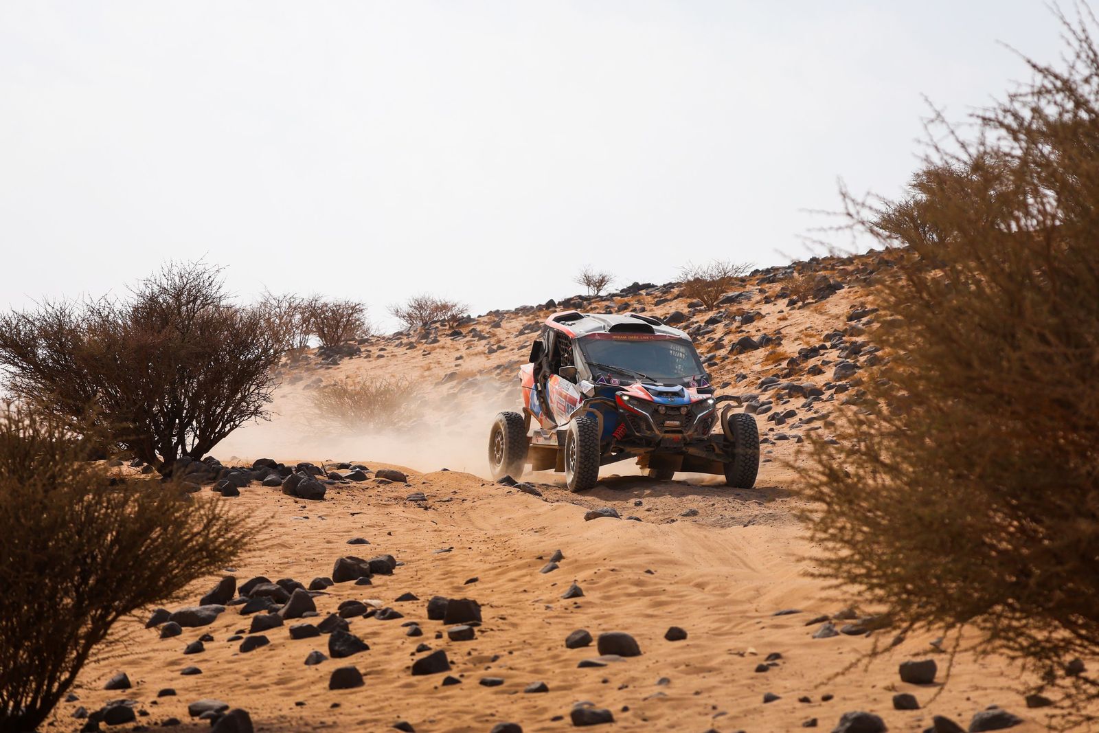 Las mejores fotos del Rally Dakar | undécima etapa