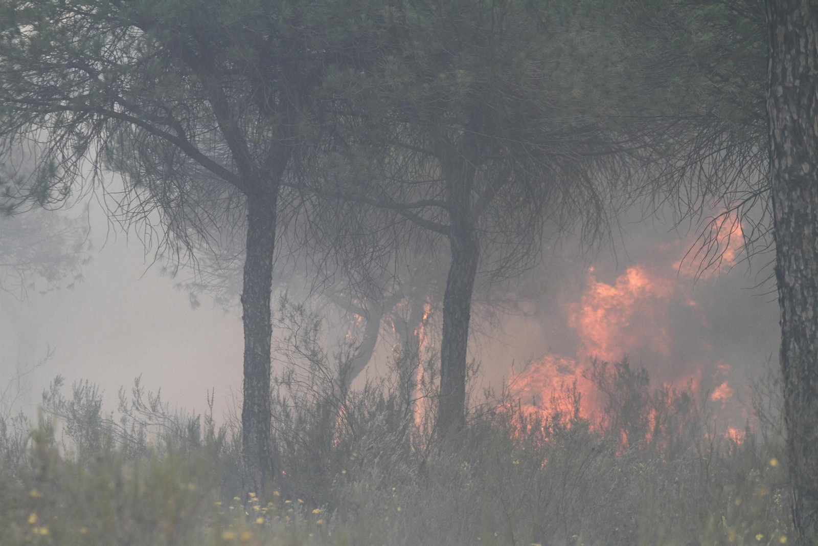 Las imágenes del incendio en Moguer y Mazagón