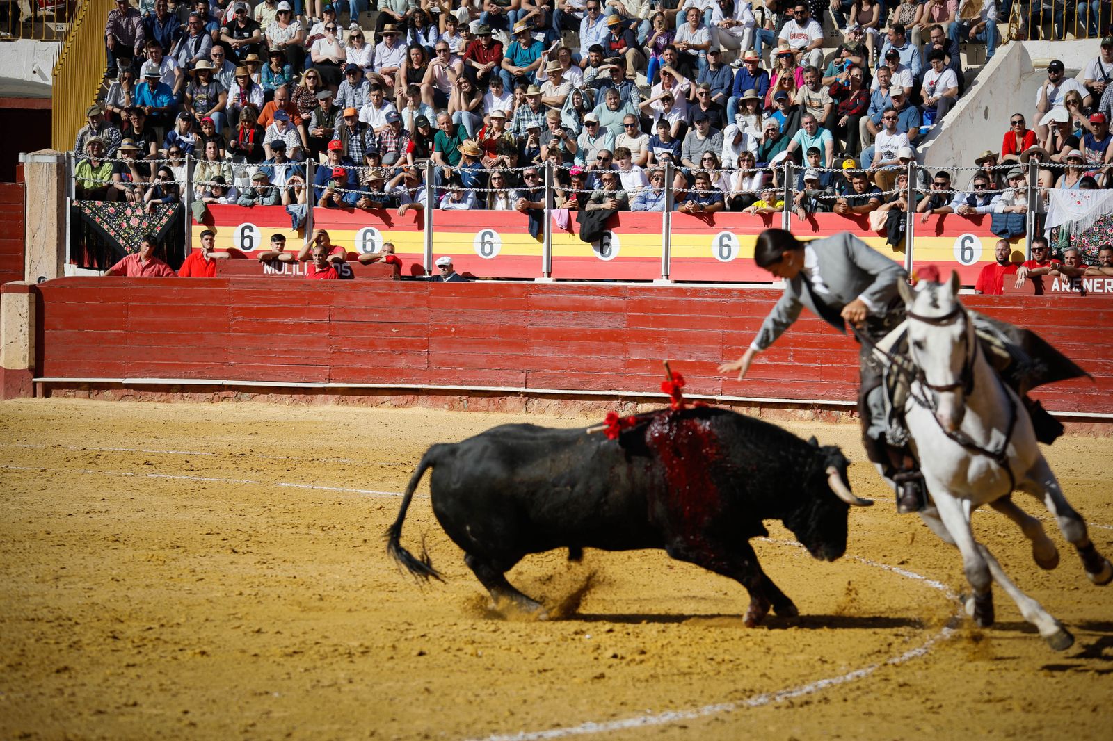 Imágenes del festival mixto lucha contra el cáncer