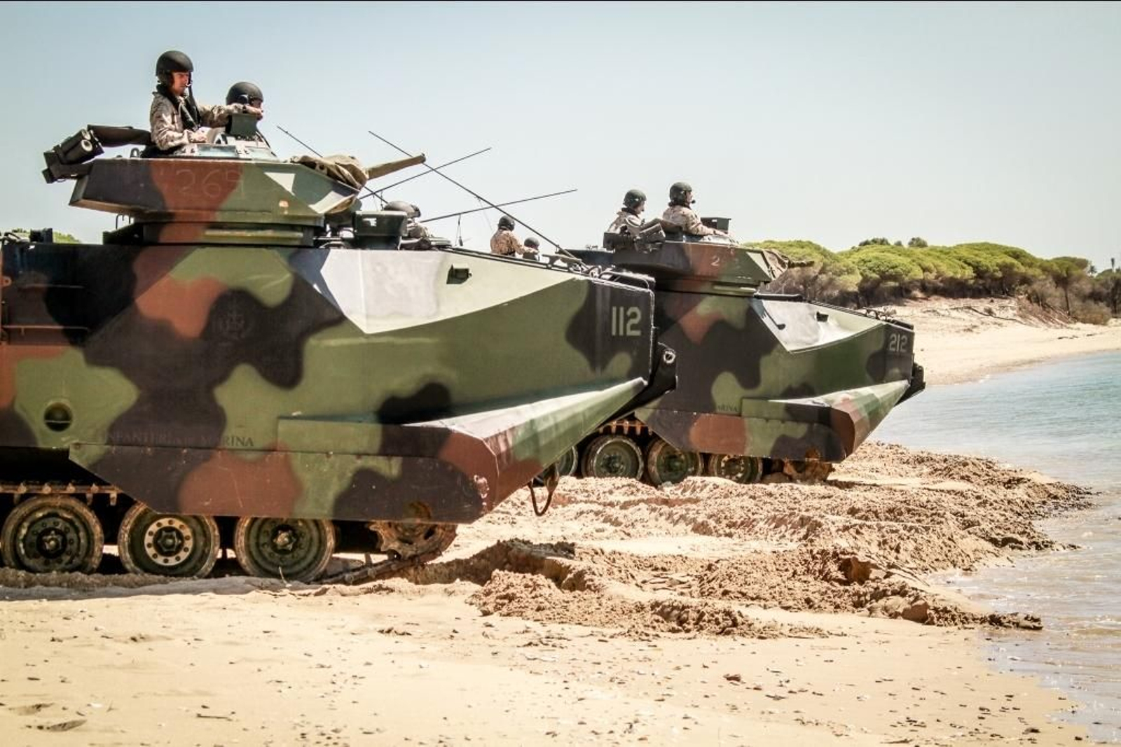 Las mejores imágenes del Tercio de Armada en el ejercicio Aldefibex