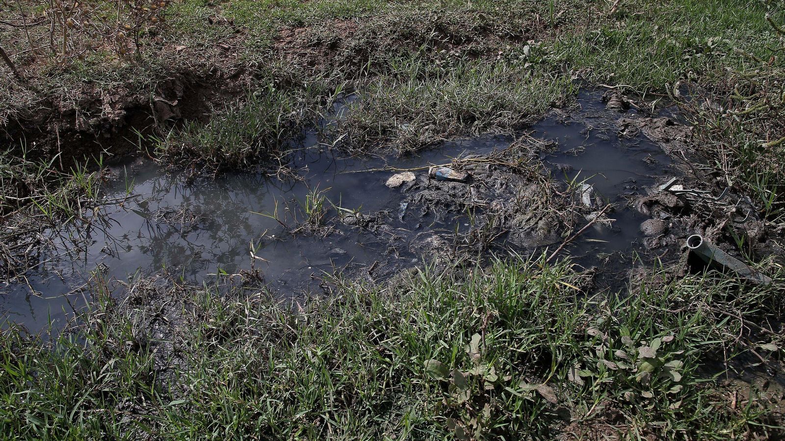 Vertidos de aguas fecales entre los restos de los caballos, en Pajarete.