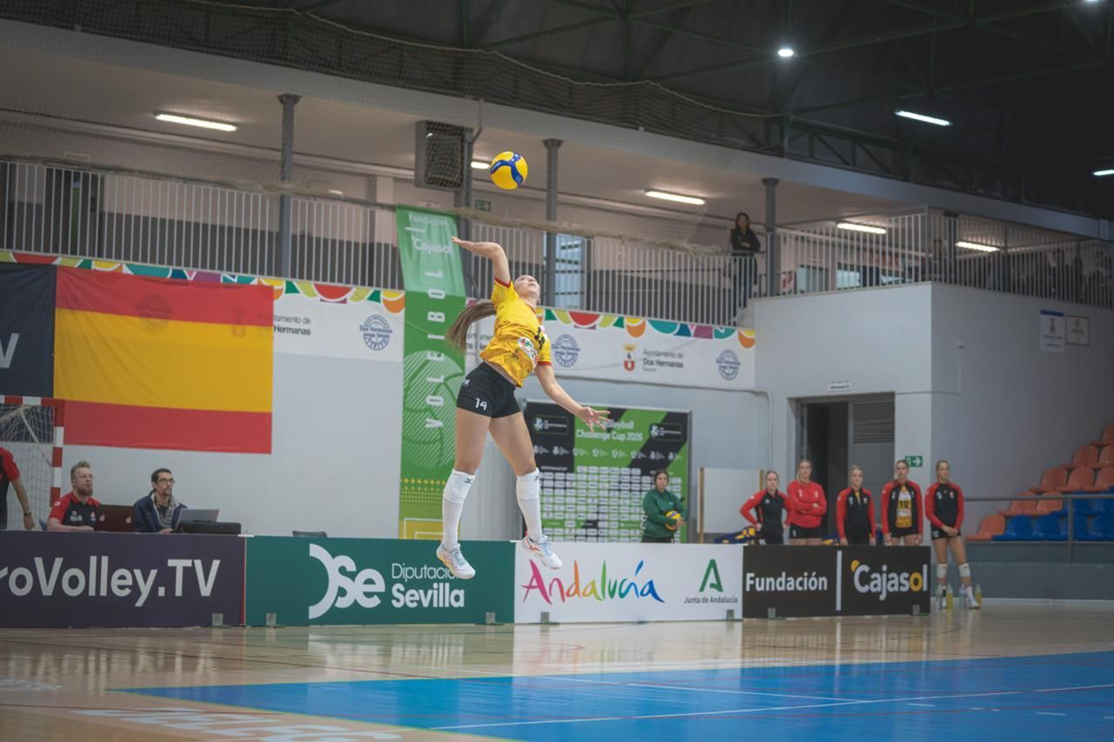 Las fotos del Fundación Cajasol Andalucía-Dynamo Apeldoorn