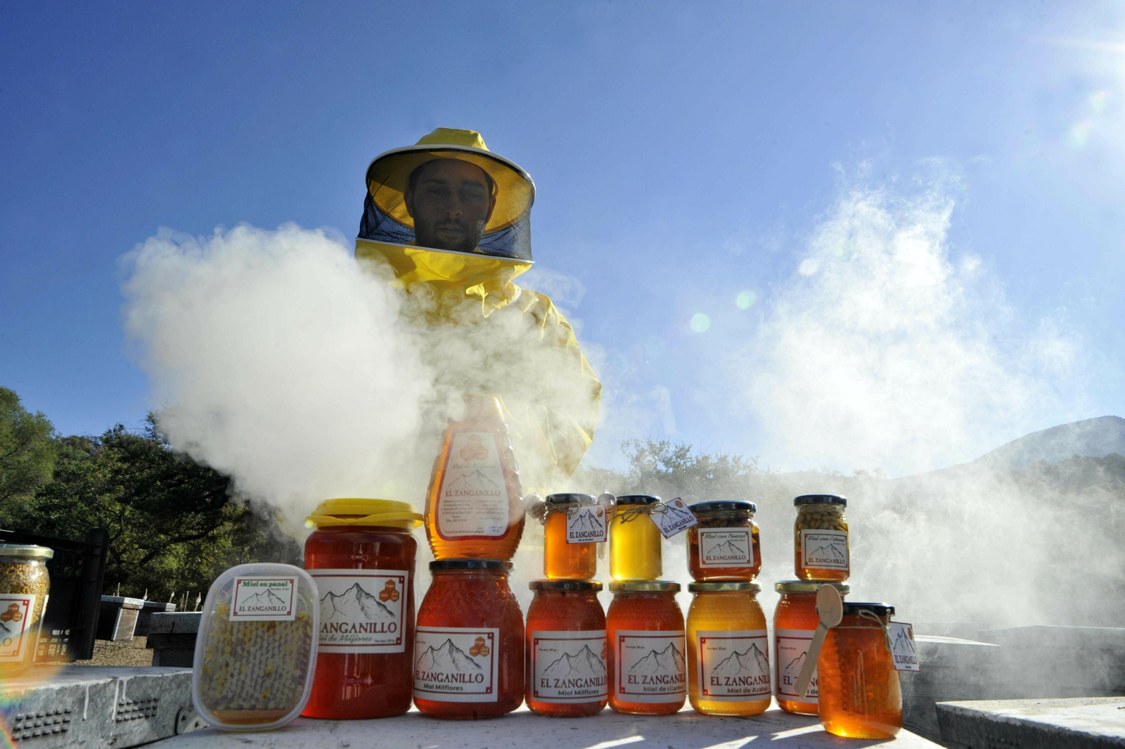 Industria apícola en la provincia