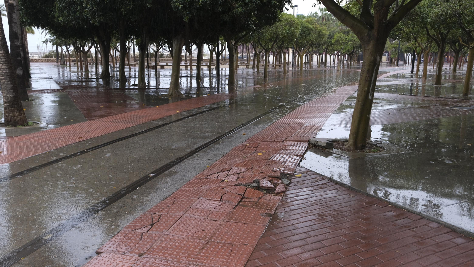 Los almerienses expresan su alegría por la lluvia