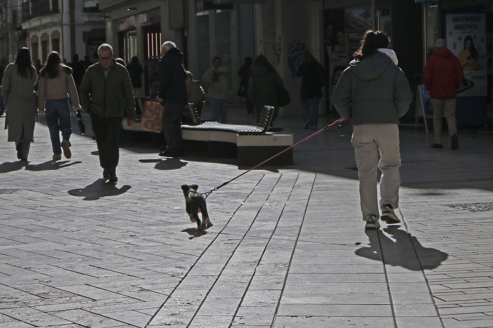 Las imágenes más destacadas del jueves 13 de febrero en Huelva