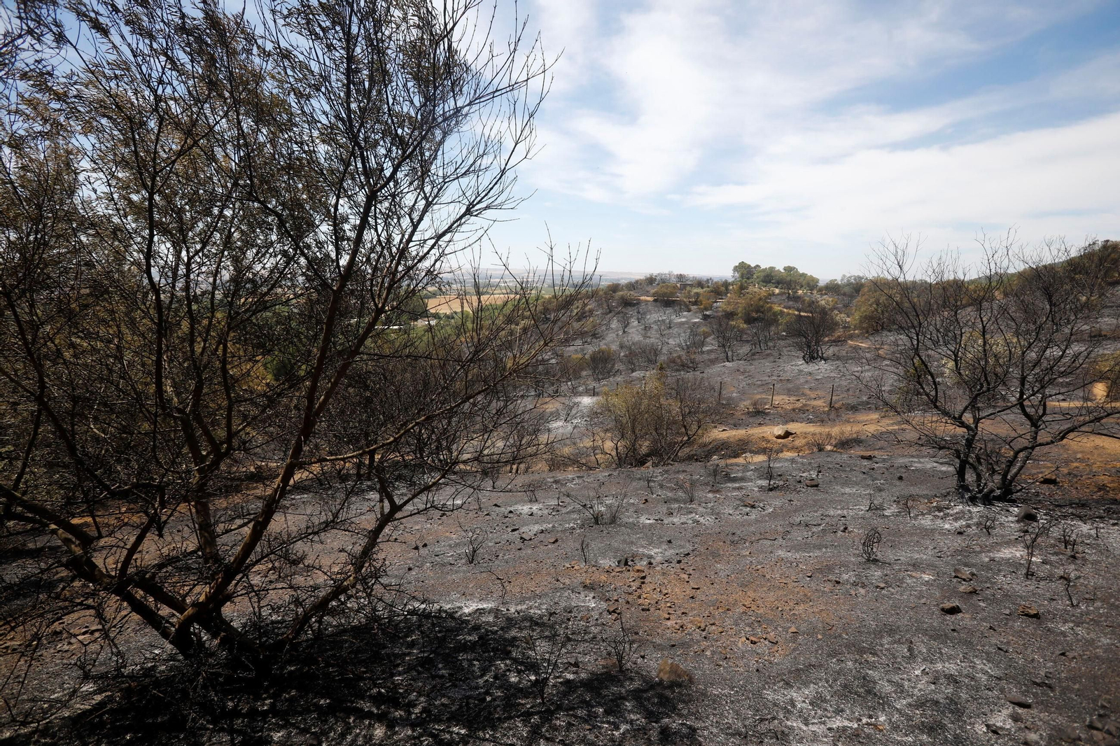 Zona cero del incendio de la Sierra de Córdoba
