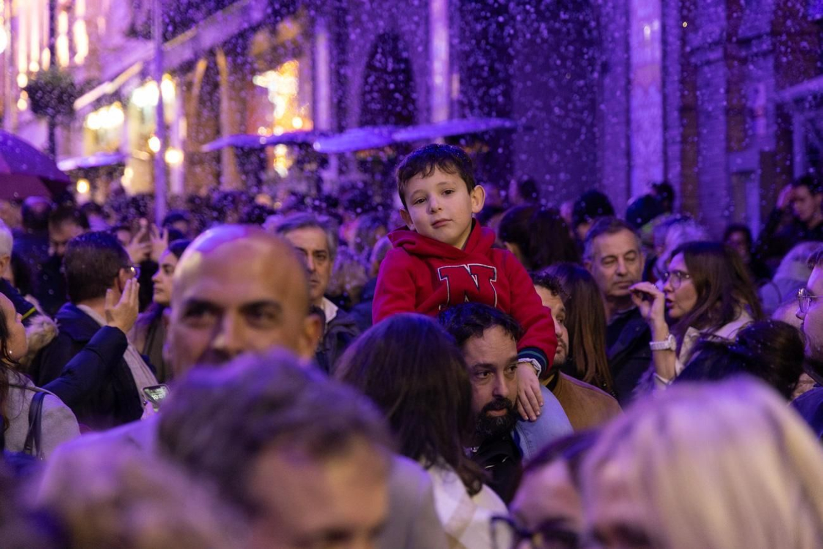 Iluminación navideña de la calle Bernabé Soriano