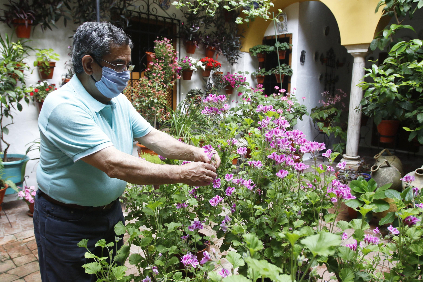 Los Patios de Córdoba en tiempos de crisis: Duque de la Victoria, 3