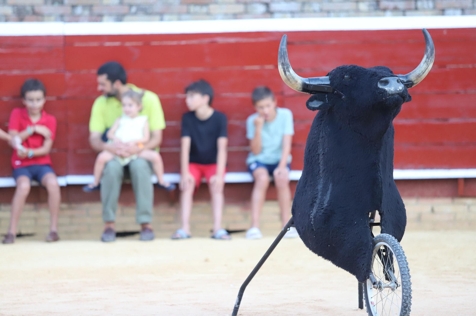 Imágenes de la clase de rejoneo de Andrés Romero en la Plaza de Toros