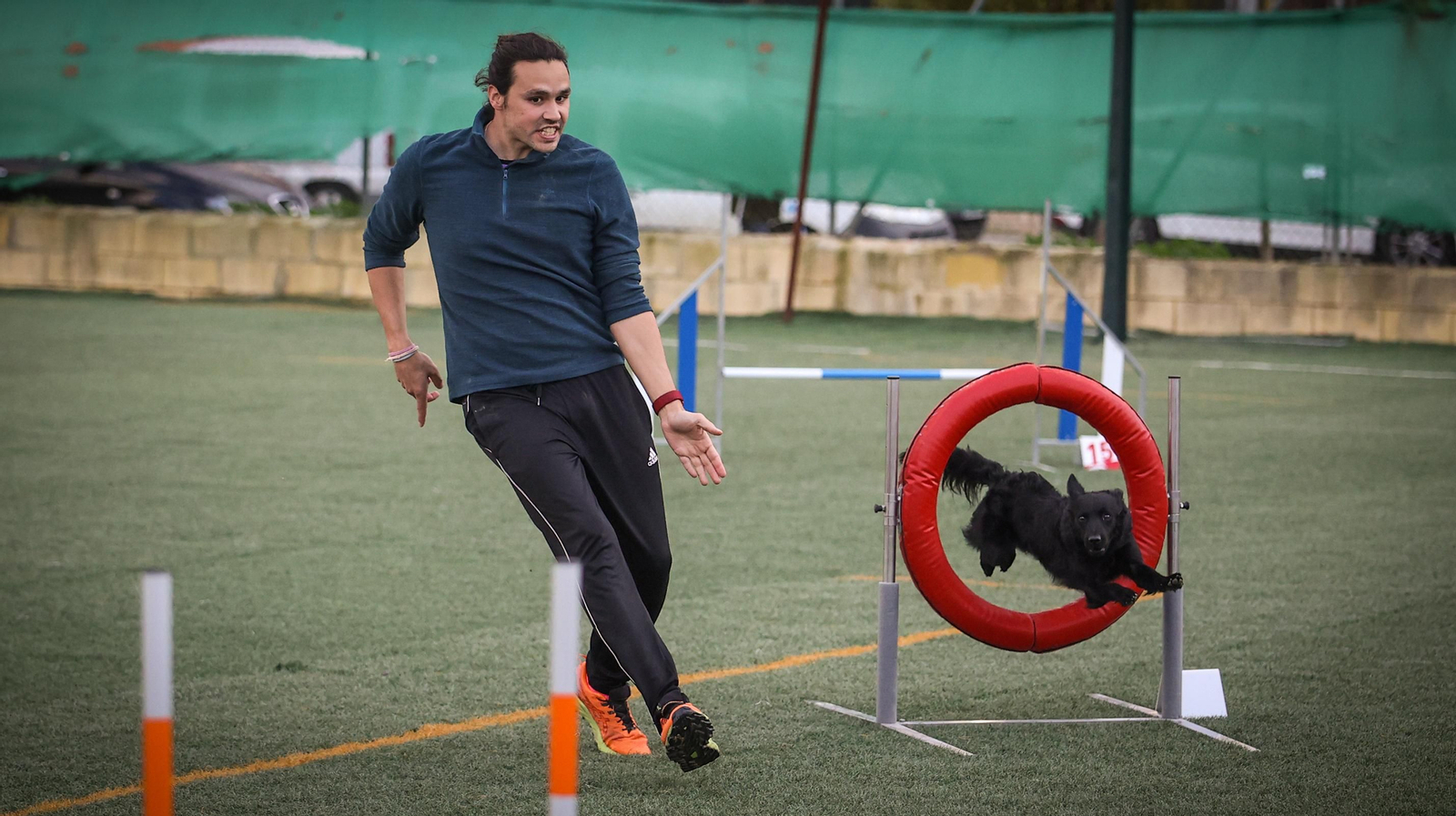 Habilidad canina en la prueba puntuable para el Campeonato de España de 'Agility' celebrado en Jerez Espectaculares las pruebas de disciplina canina puntuables para el Campeonato de España de Agility
