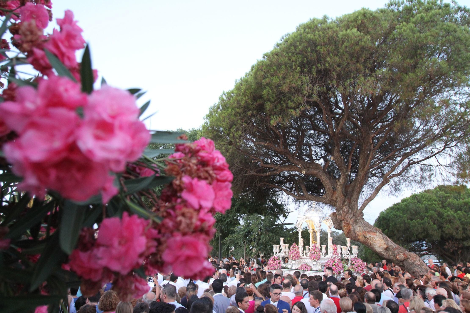 Imágenes de la bajada de La Cinta a la Catedral de La Merced