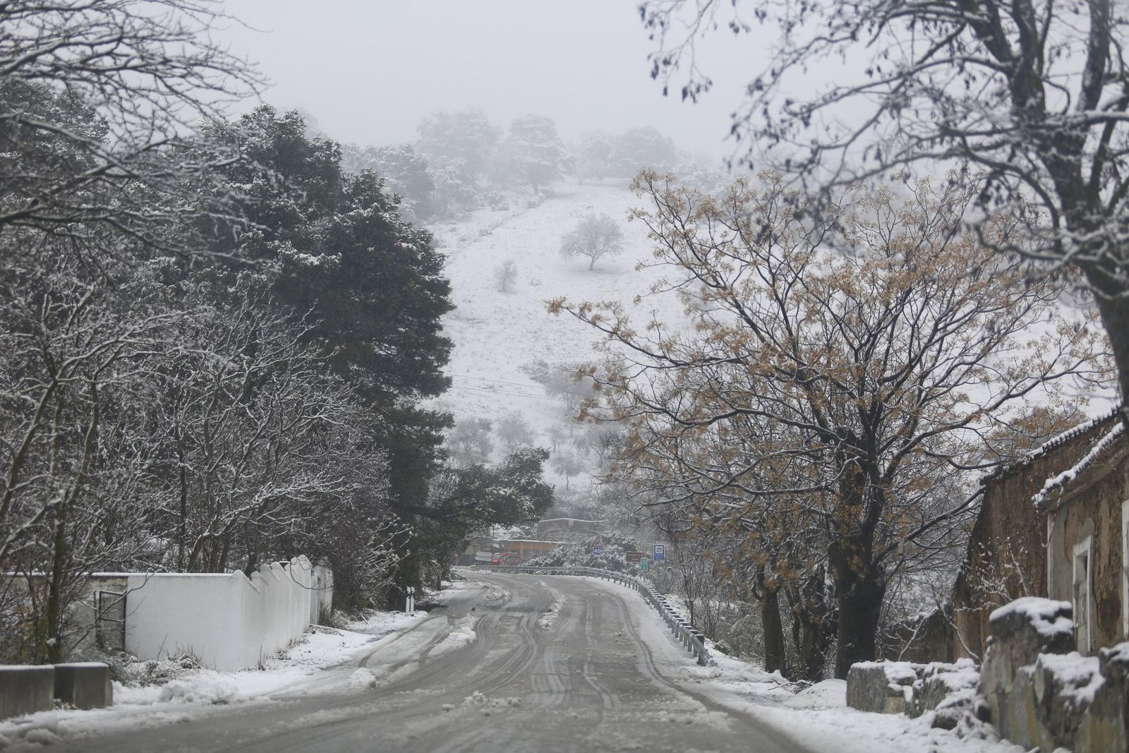 Las imágenes de la nevada en Málaga