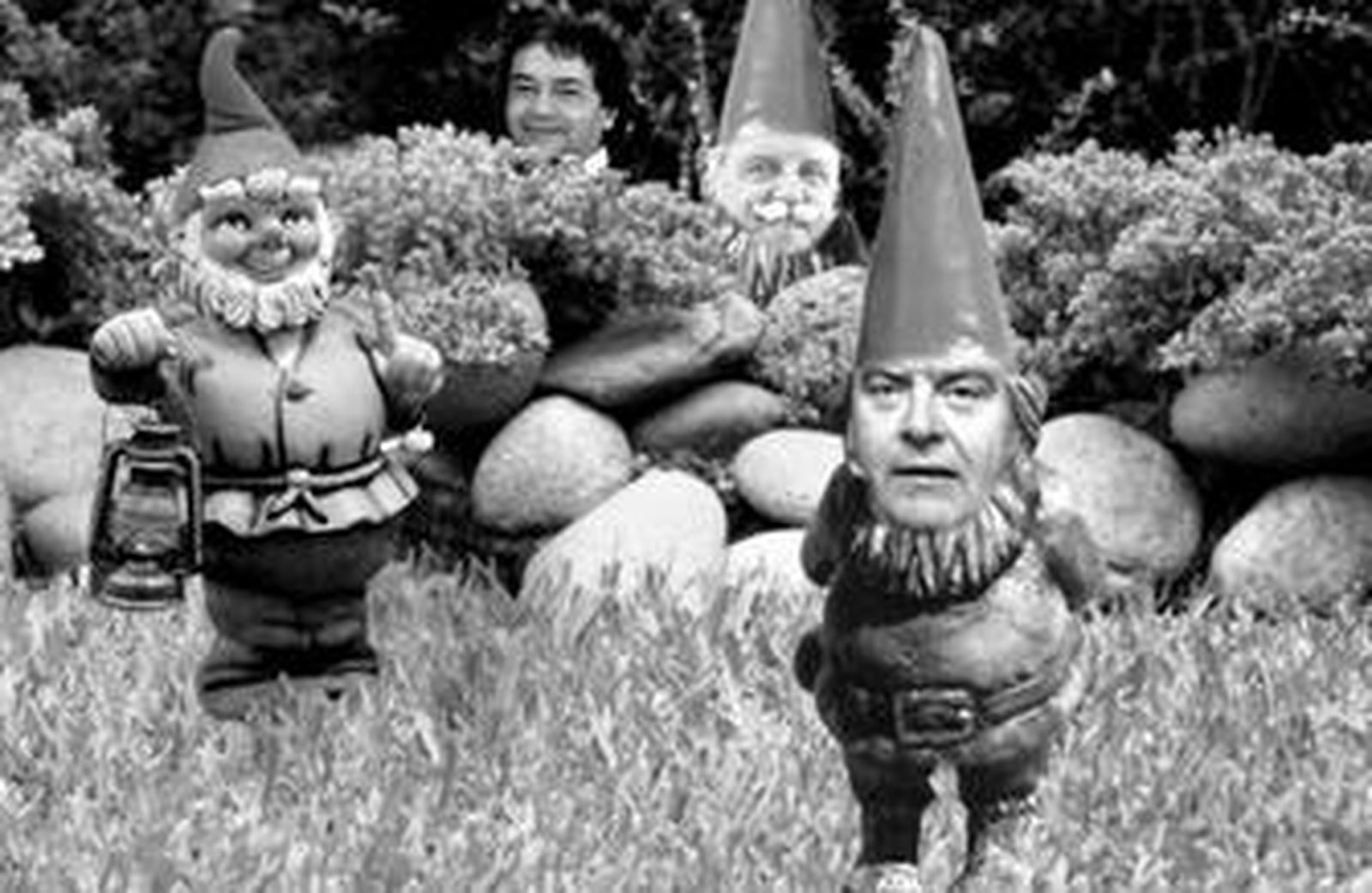 El anhelado sueño de los gnomos