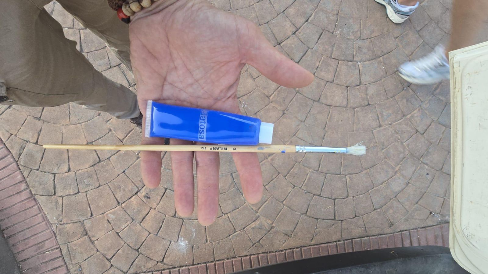 Material para marcar las avispas velutinas.