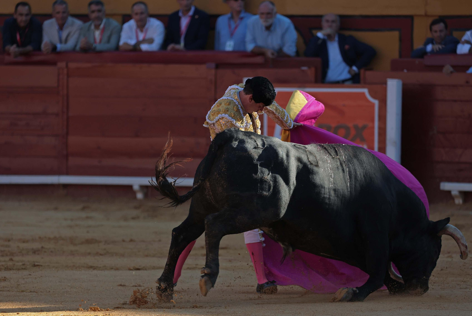 Enrique Ponce, primer toro (2).jpg