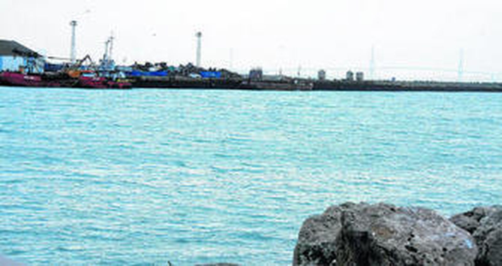 La desembocadura del río Guadalete, con los terrenos portuarios destinados a la futura terminal al fondo.