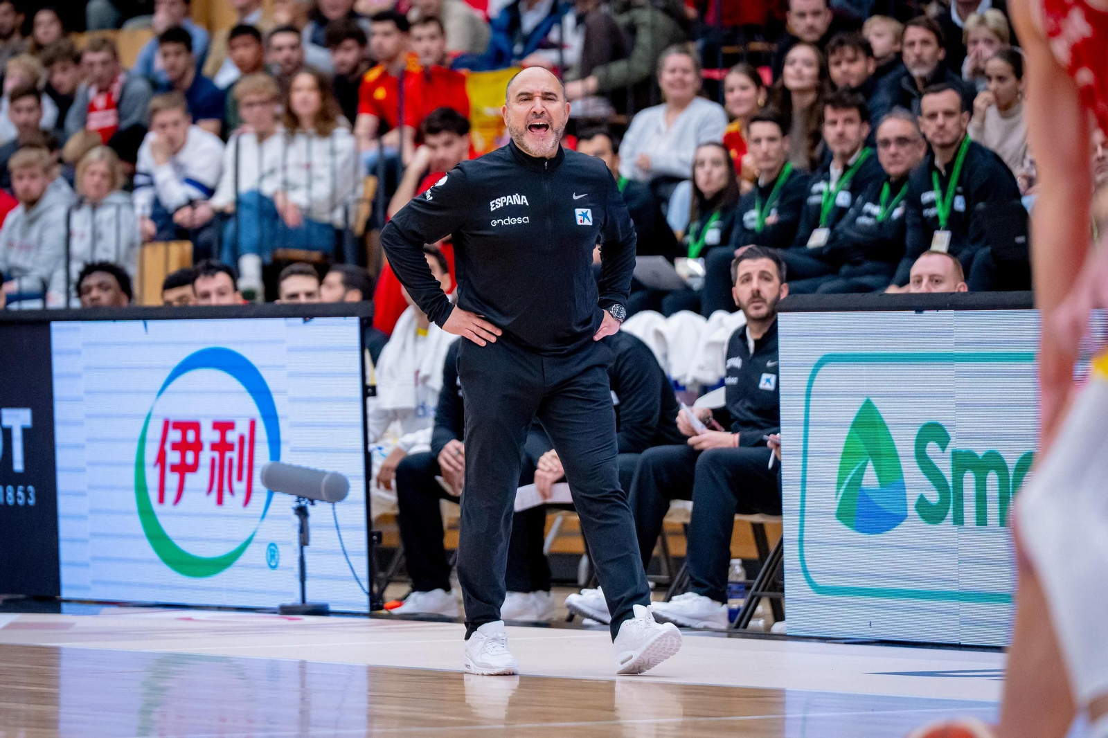 Las mejores fotos del Dinamarca-España de baloncesto