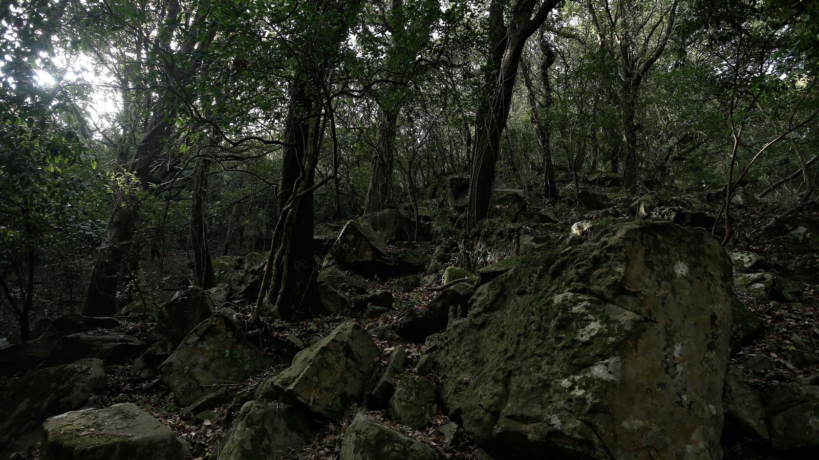 Las mejores fotos de San Carlos del Tiradero