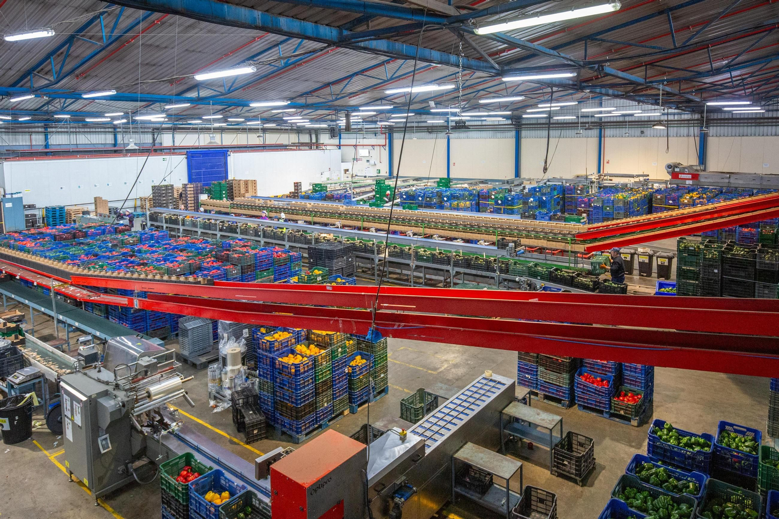 Almacén de Grupo Agroponiente.