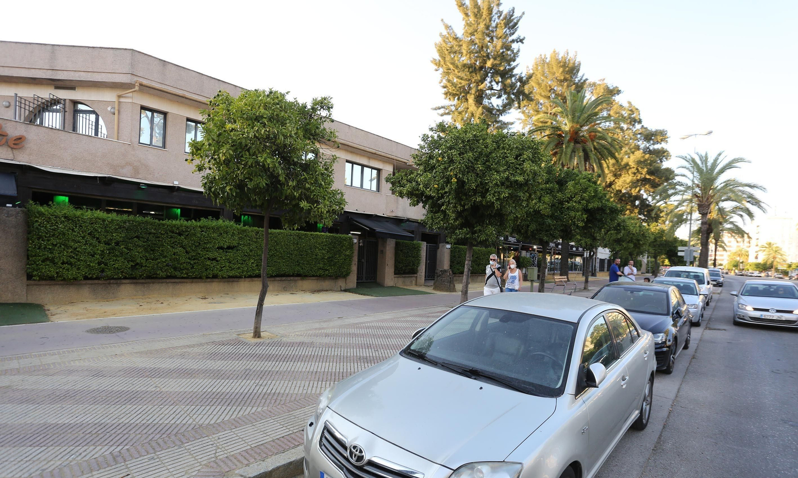 Coronavirus: MotoGP 2019,MotoGP 2020 un mundial atípico en jerez