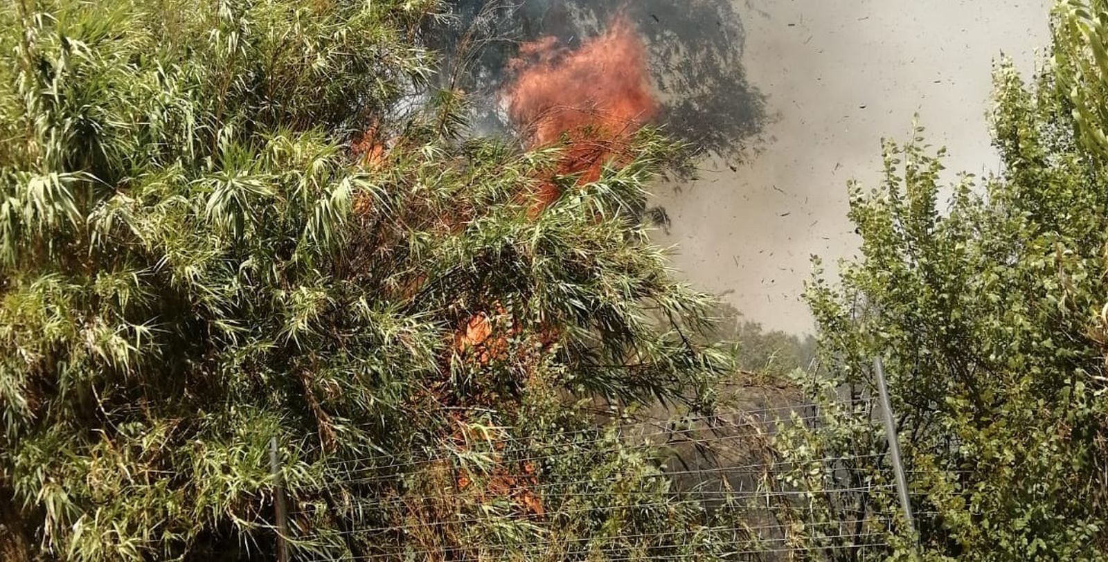 Incendio forestal en el paraje El Puerco.