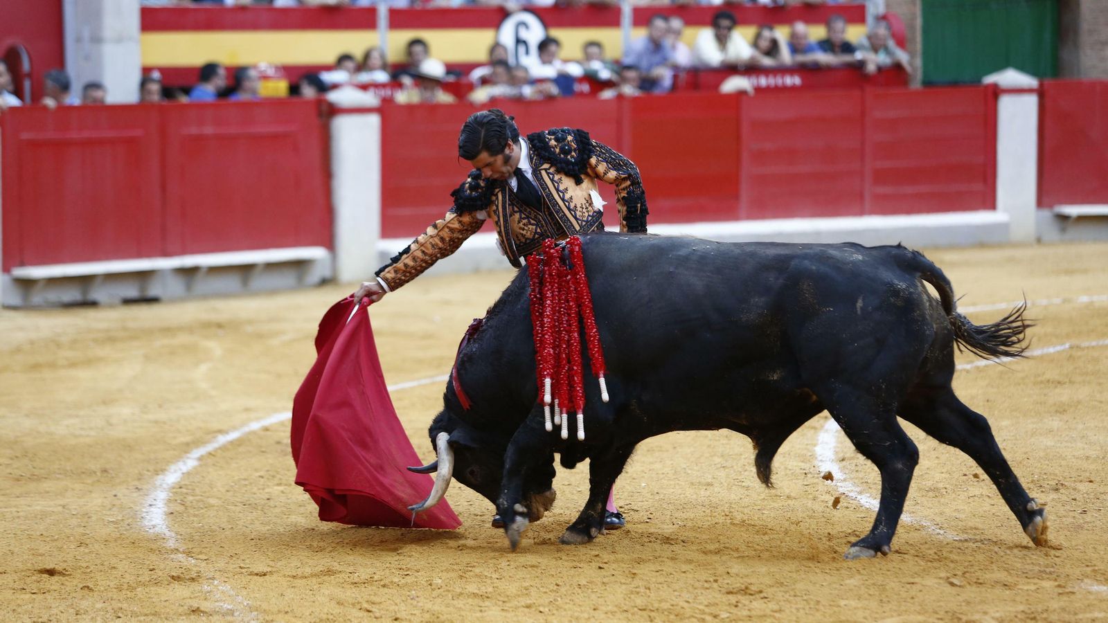 Morante se topó con toros de escasa fuerza y se quedó sin trofeos. Morante se topó con toros de escasa fuerza y se quedó sin trofeos.