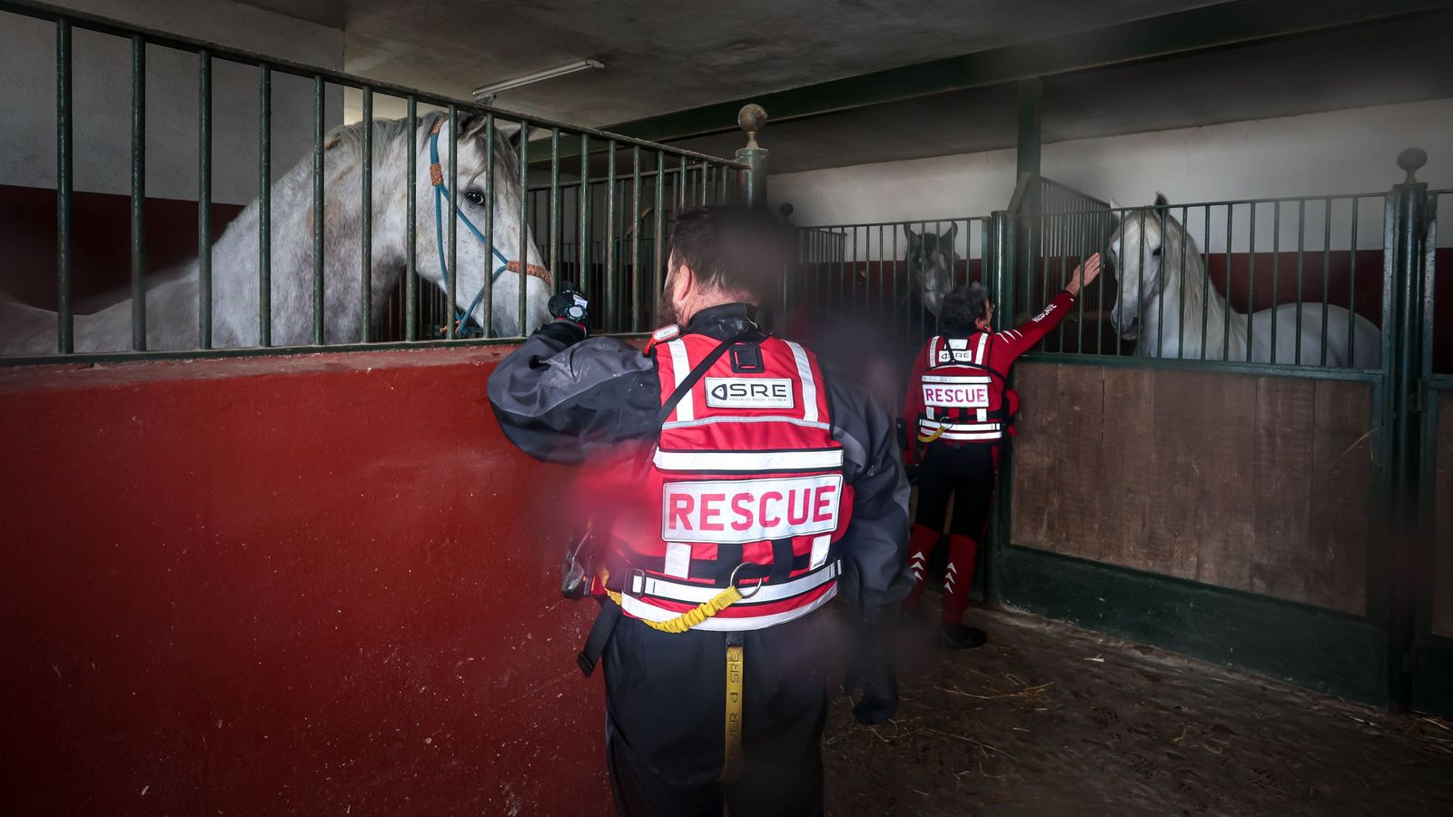 Voluntarios de la Cruz Roja tras llegar en zodiac a una cuadra para alimentar a los caballos. 