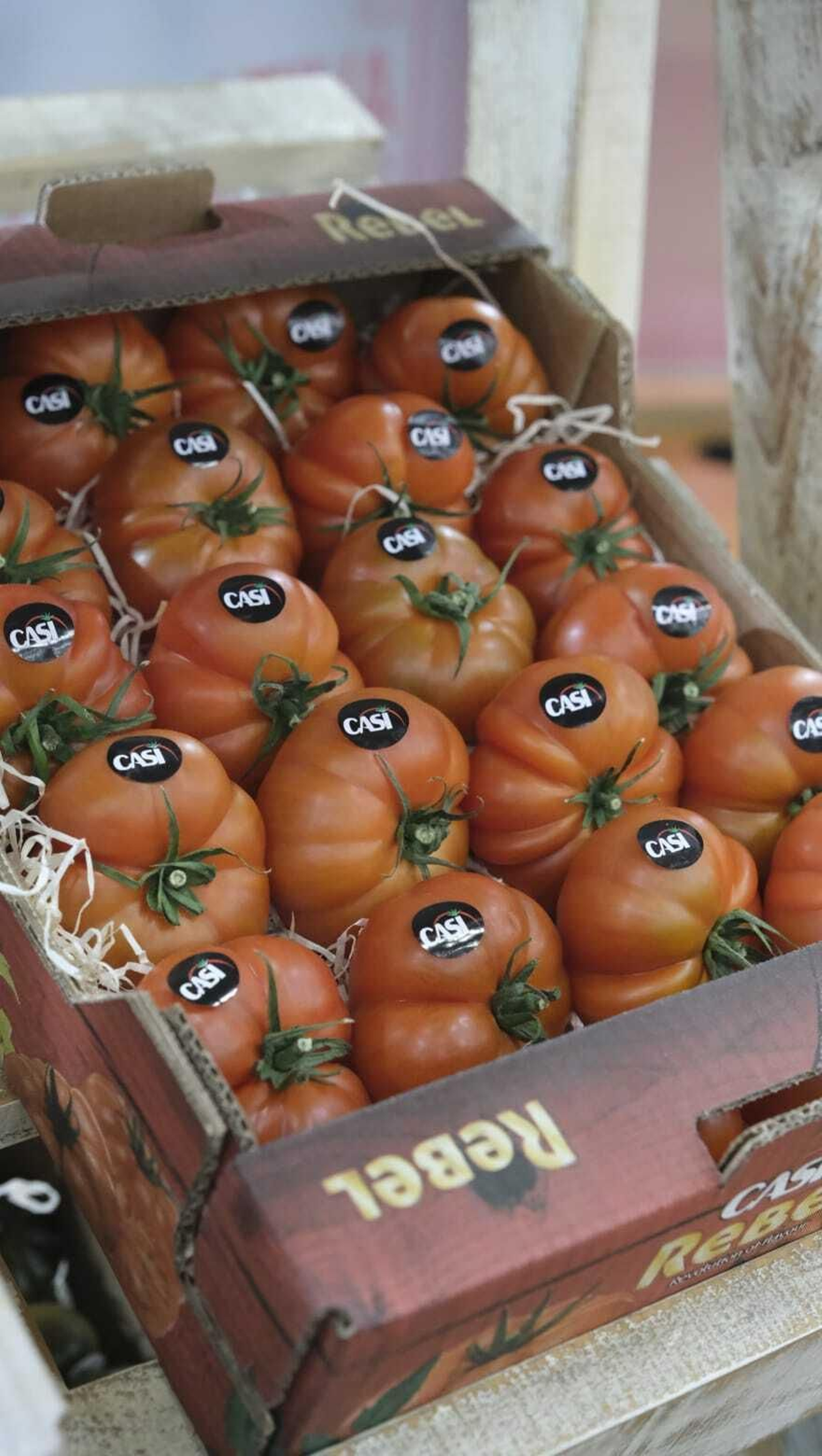 Samantha Vallejo-Nágera presenta la I Jornada del Tomate de Sabor de CASI (Almería)