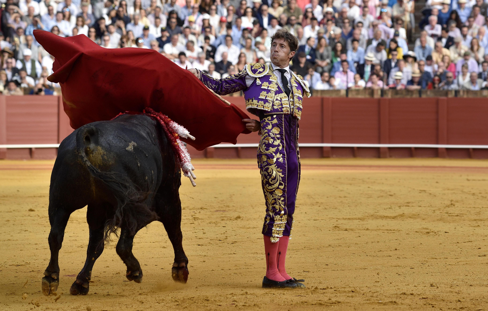 Las imágenes de la 14ª de abono de la Maestranza