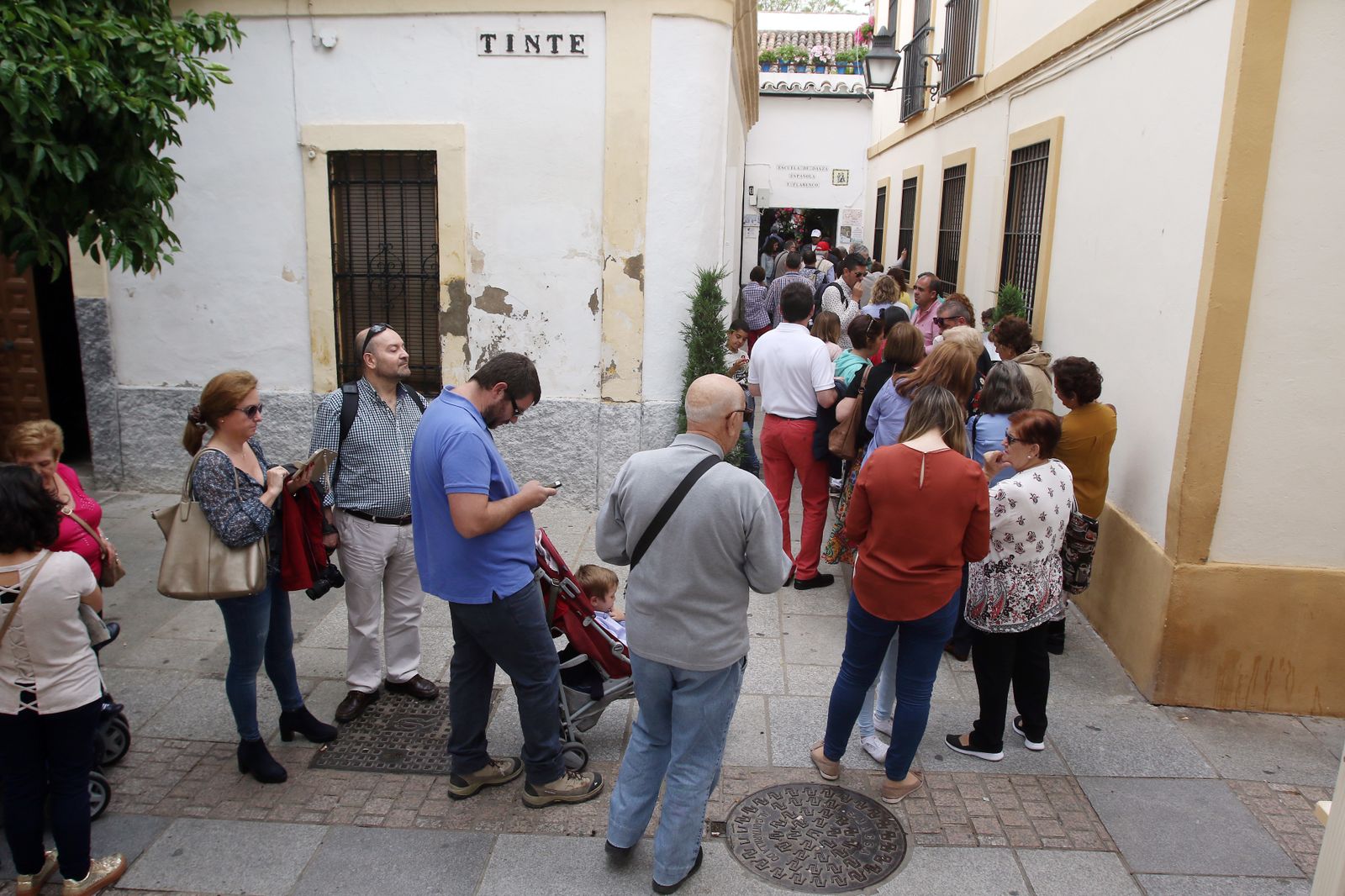 Ambiente en los patios ganadores de 2017