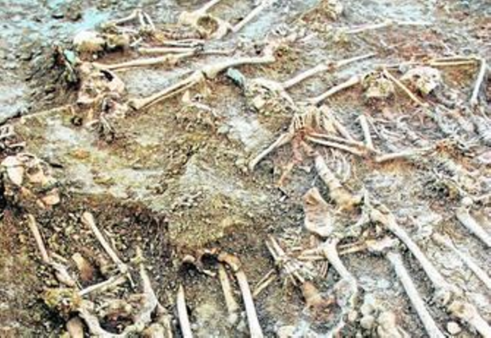 Restos de víctimas del franquismo encontrados durante las excavaciones en las fosas de San Rafael.