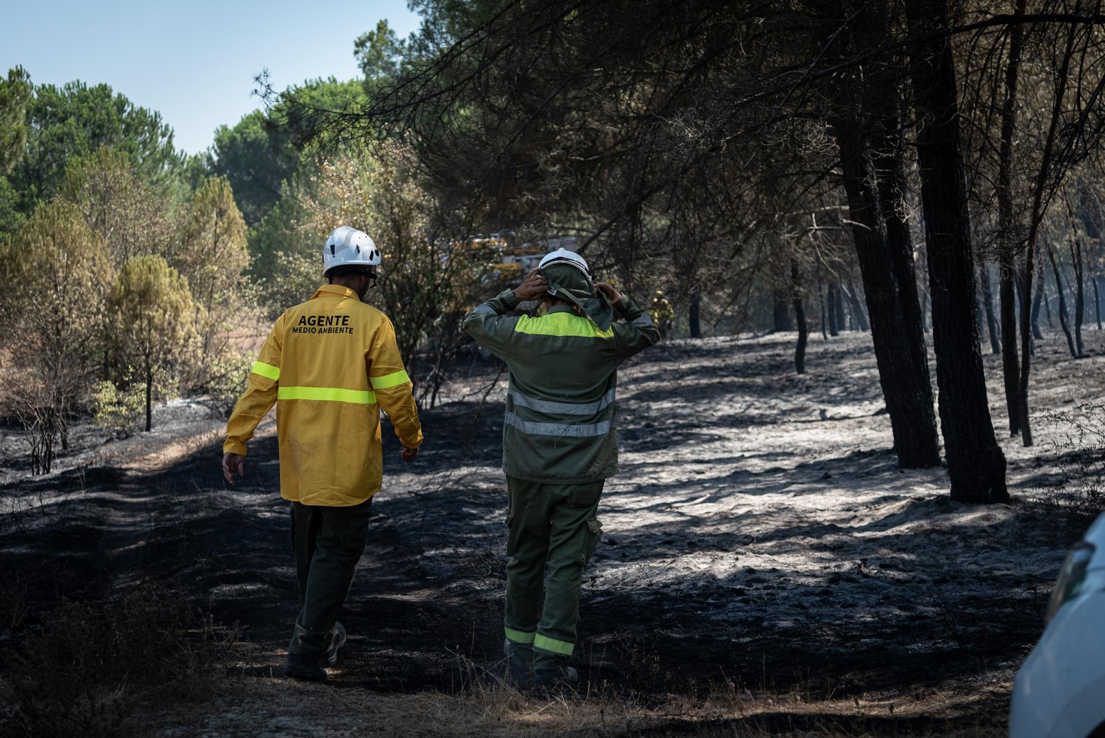 Imágenes de las labores de extinción del incendio de Bonares