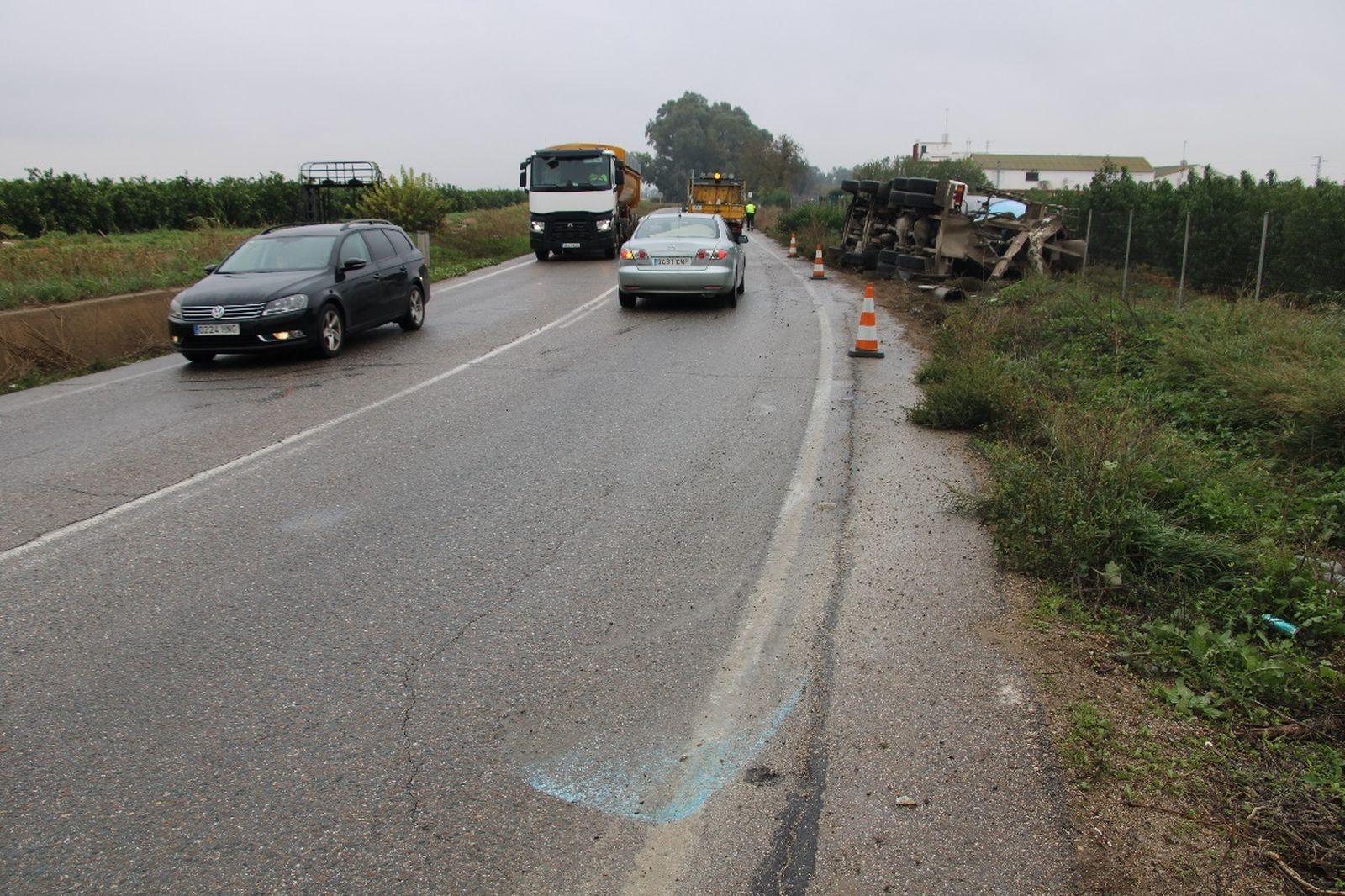 El camión volcado en la cuneta.