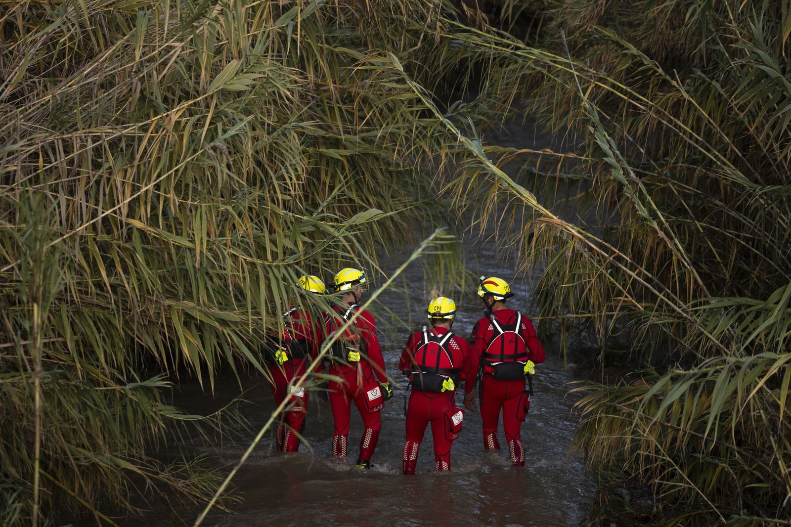Trabajos de búsqueda en Alhaurín el Grande, este domingo.