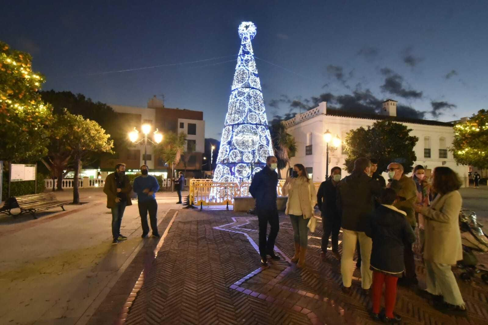 El árbol de 11 metros del Paseo de la Constitución.