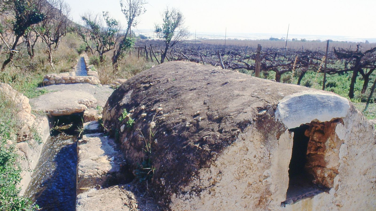 La agricultura de la zona, vital.