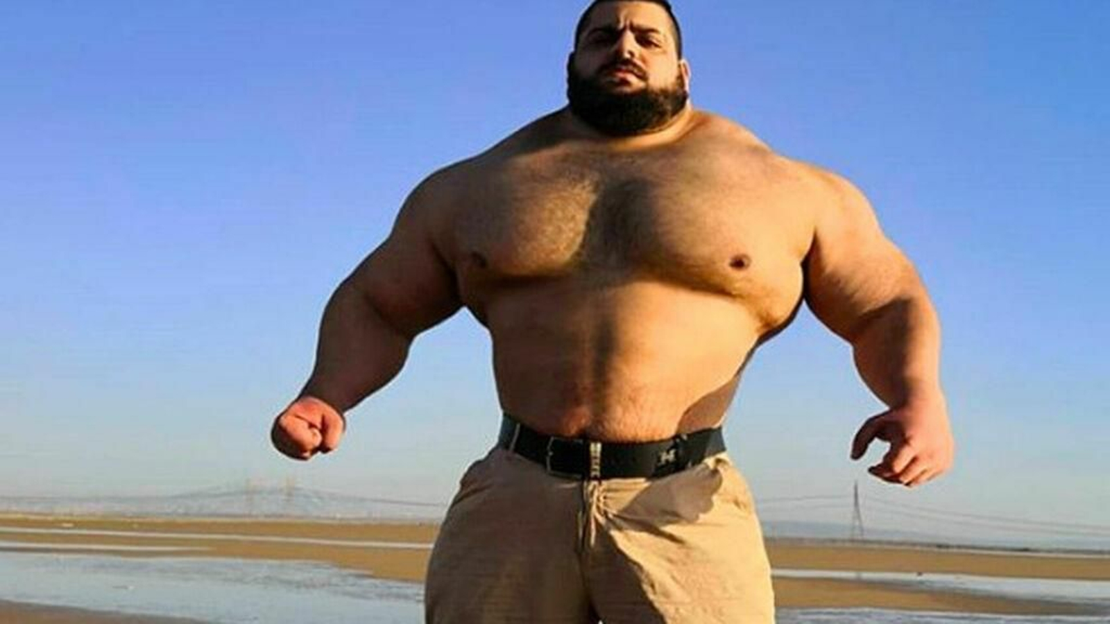 El Hulk iraní debutará en la MMA El Hulk iraní debutará en la MMA