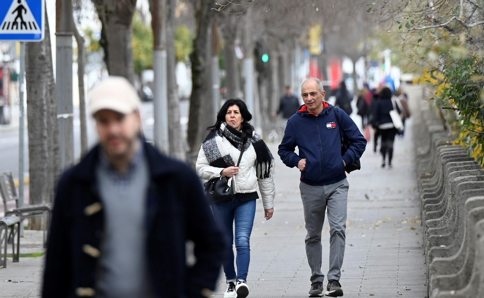 Un paseo en imágenes por la Ribera de Córdoba una gélida mañana