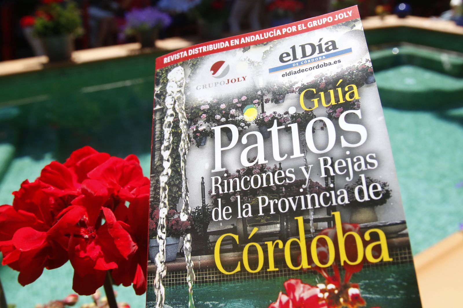 La presentación de la I Guía de Patios de la Provincia, en imágenes