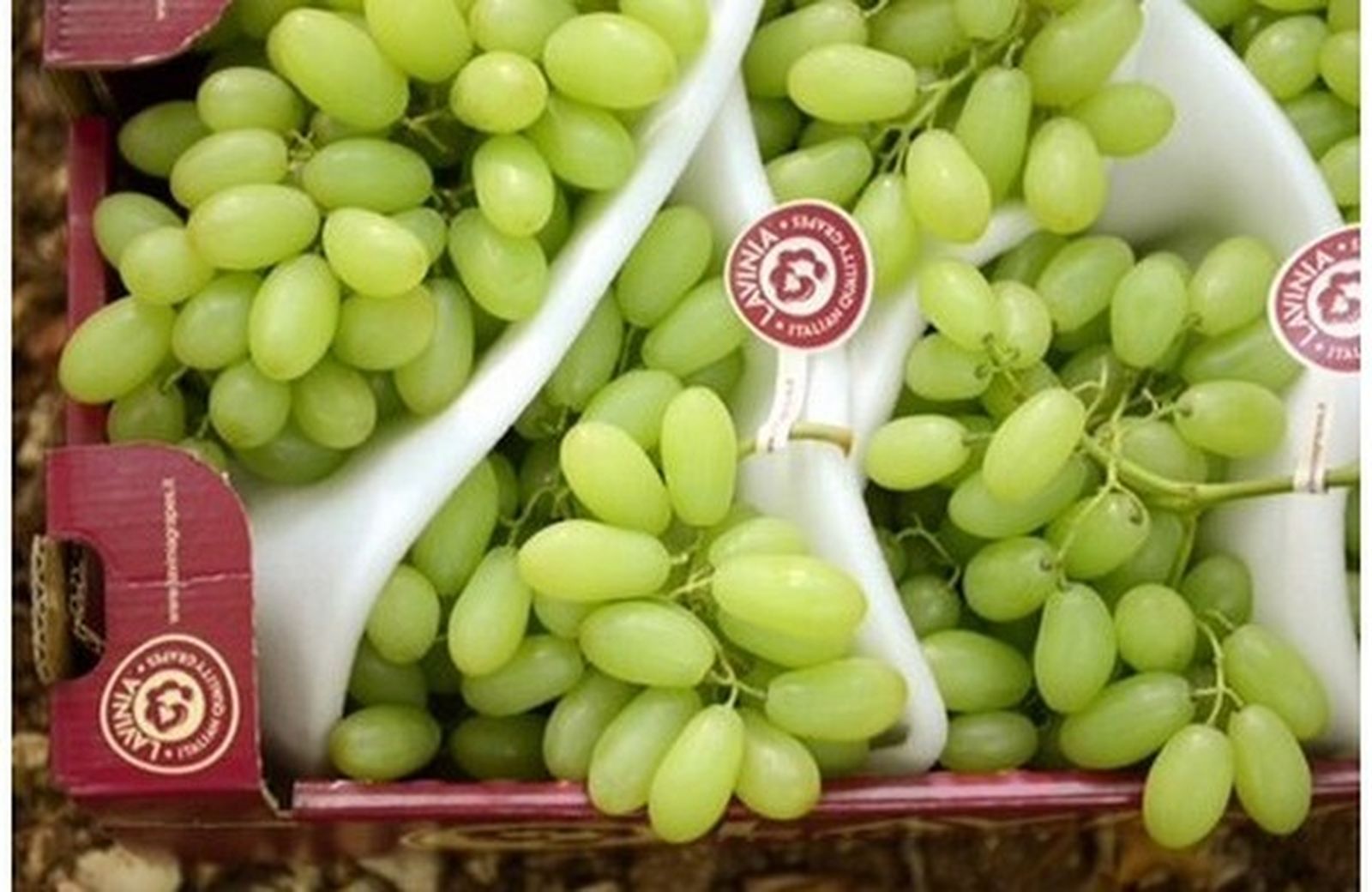 Uvas blancas sin pepitas, tal y como se comercializan en los supermercados