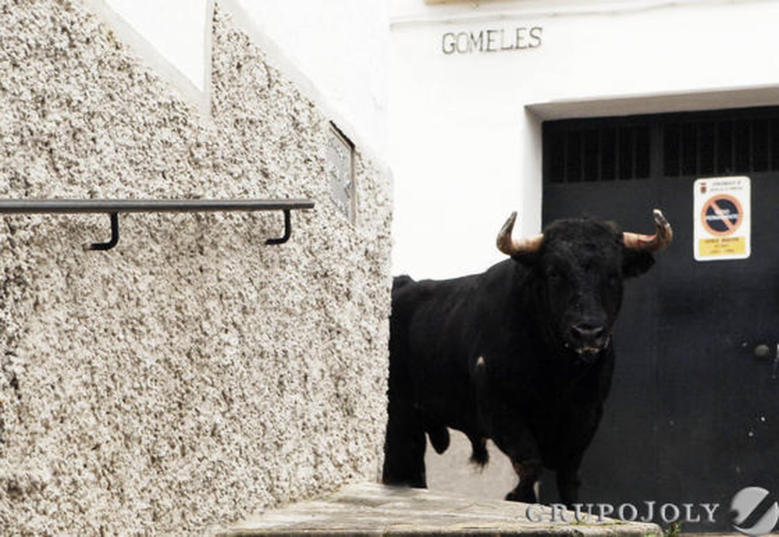 Arcos

Foto: Ramón Aguilar