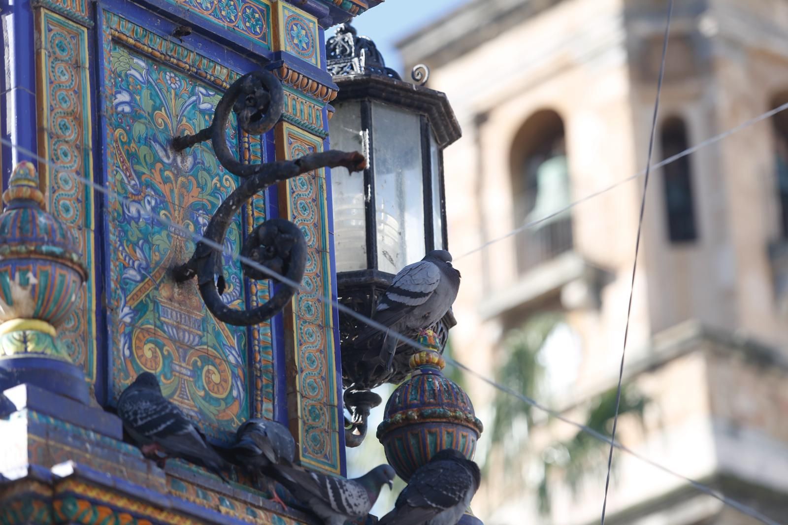 Entre palomas y disfraces de Carnaval, la fuente monumental amanece incompleta: donde antes brillaba un farol, hoy queda el hueco. La escena, captada esta mañana, mezcla fiesta y deterioro.
